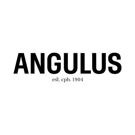 Angulus winter