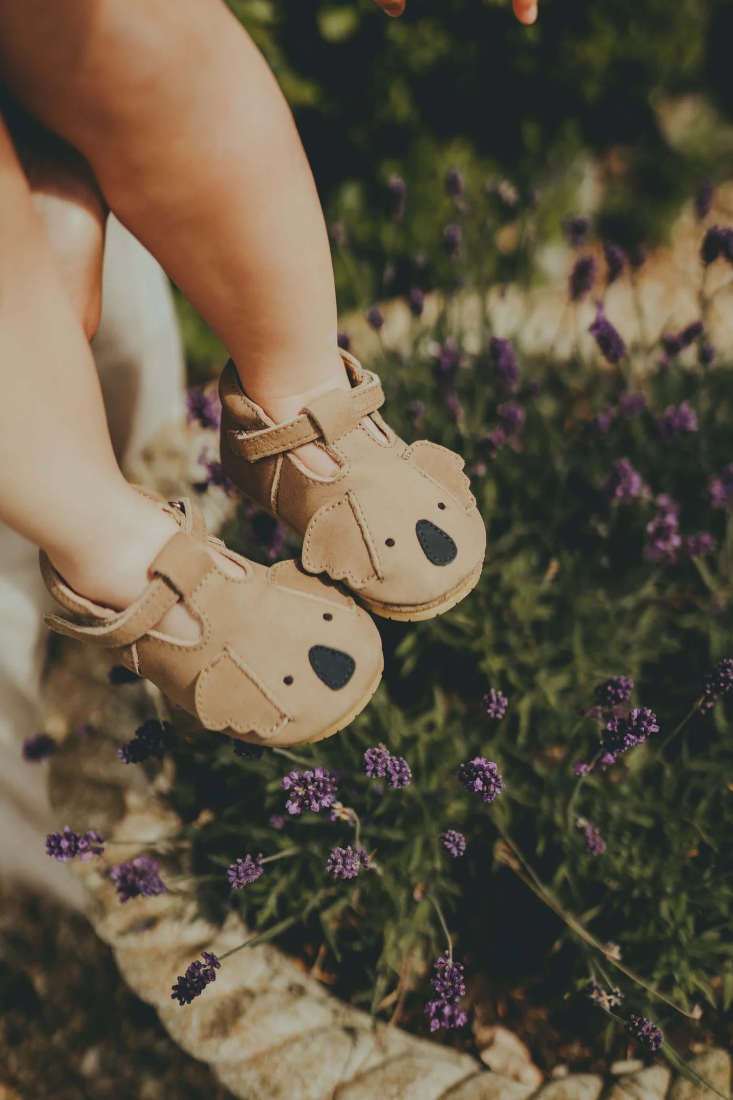 Spark Classic Shoes | Koala (1002007) - MintMouse (Unicorner Concept Store)