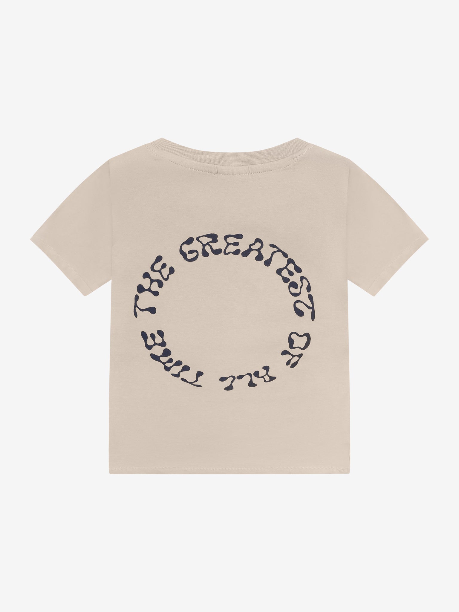 154400 T-Shirt SS - Feather Gray