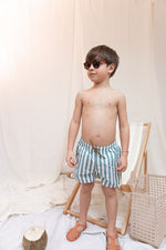 (LW17598) DUKE STRIPED BOARD SHORTS