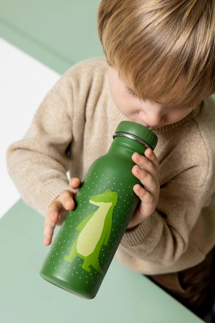 Bottle 500ml - Mr. Alligator