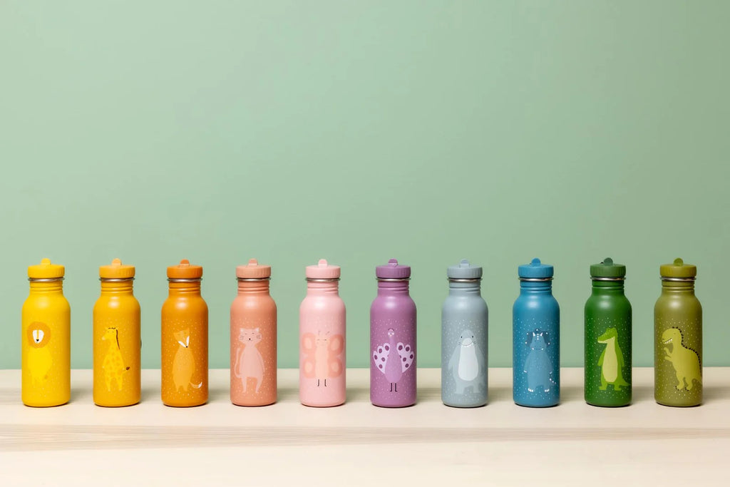 Bottle 500ml - Mr. Alligator