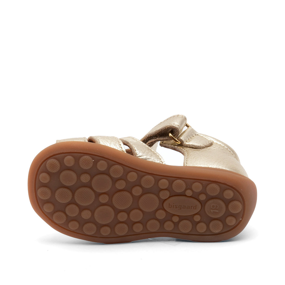 Bisgaard Carly (71206.2202)