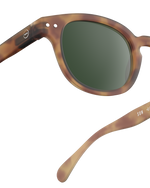 Adult sunglasses | #C Havane