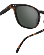 Adult sunglasses  | #E Tortoise