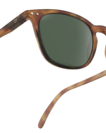 Adult sunglasses  | #E Havane