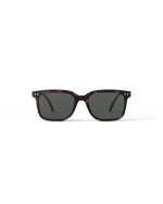 Adult Sunglasses | #L Tortoise