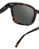 Adult Sunglasses | #L Tortoise