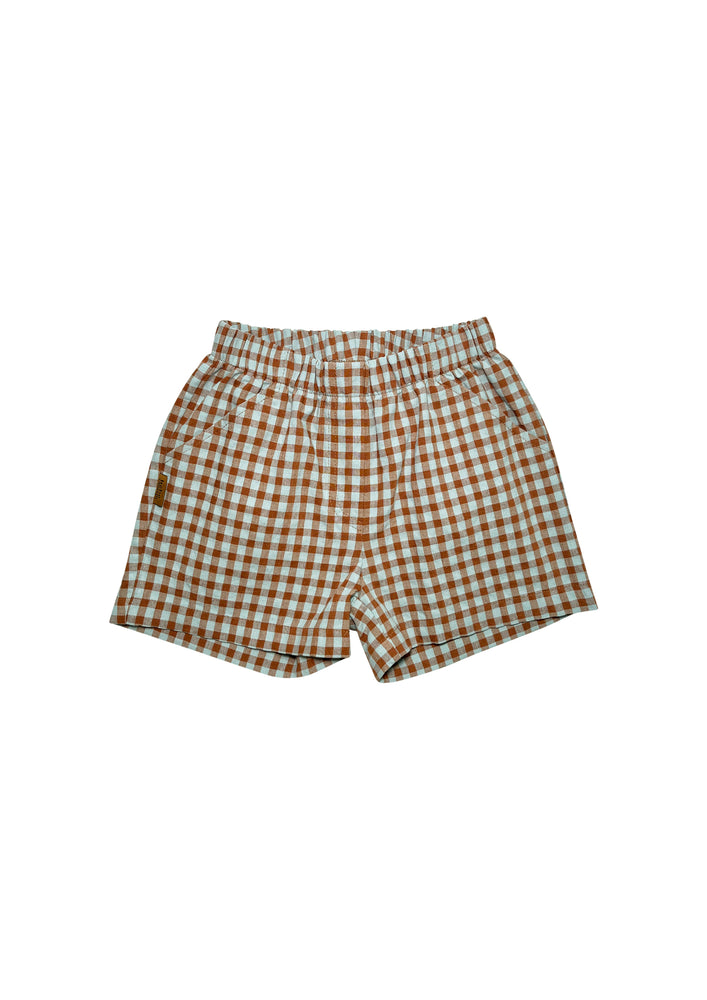 Shorts Mint and Brown Checkers