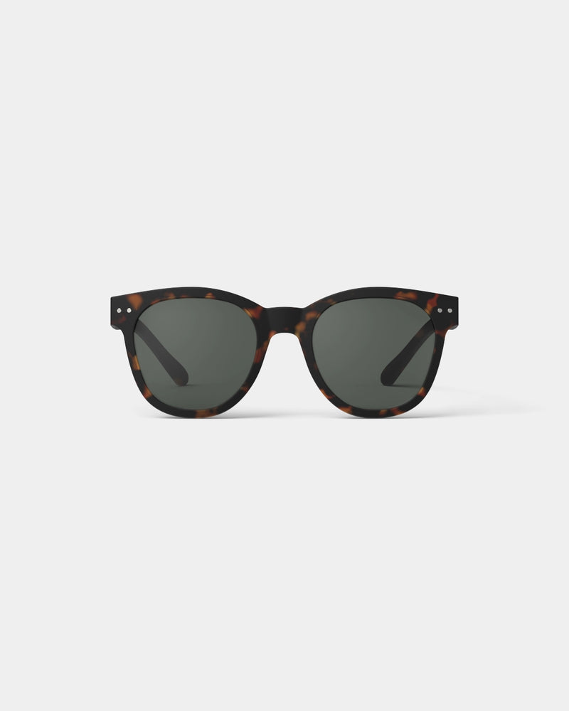 Adult sunglasses  | #N Tortoise