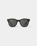 Adult sunglasses  | #N Tortoise