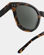Adult sunglasses  | #N Tortoise