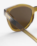 Adult sunglasses  | #N Golden Green