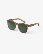 Adult sunglasses  | #N Havane