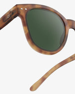 Adult sunglasses  | #N Havane