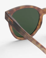 Adult sunglasses  | #N Havane
