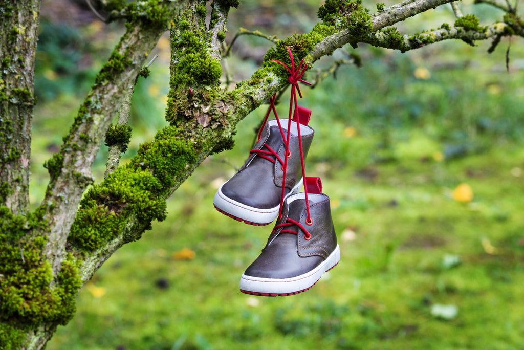 (2150-6 / 2242-6) Emel Dark Brown Lace Up Trainers - MintMouse (Unicorner Concept Store)