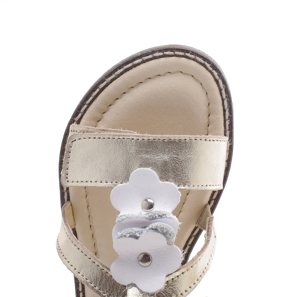 (2577) Emel velcro sandals  gold flowers - MintMouse (Unicorner Concept Store)