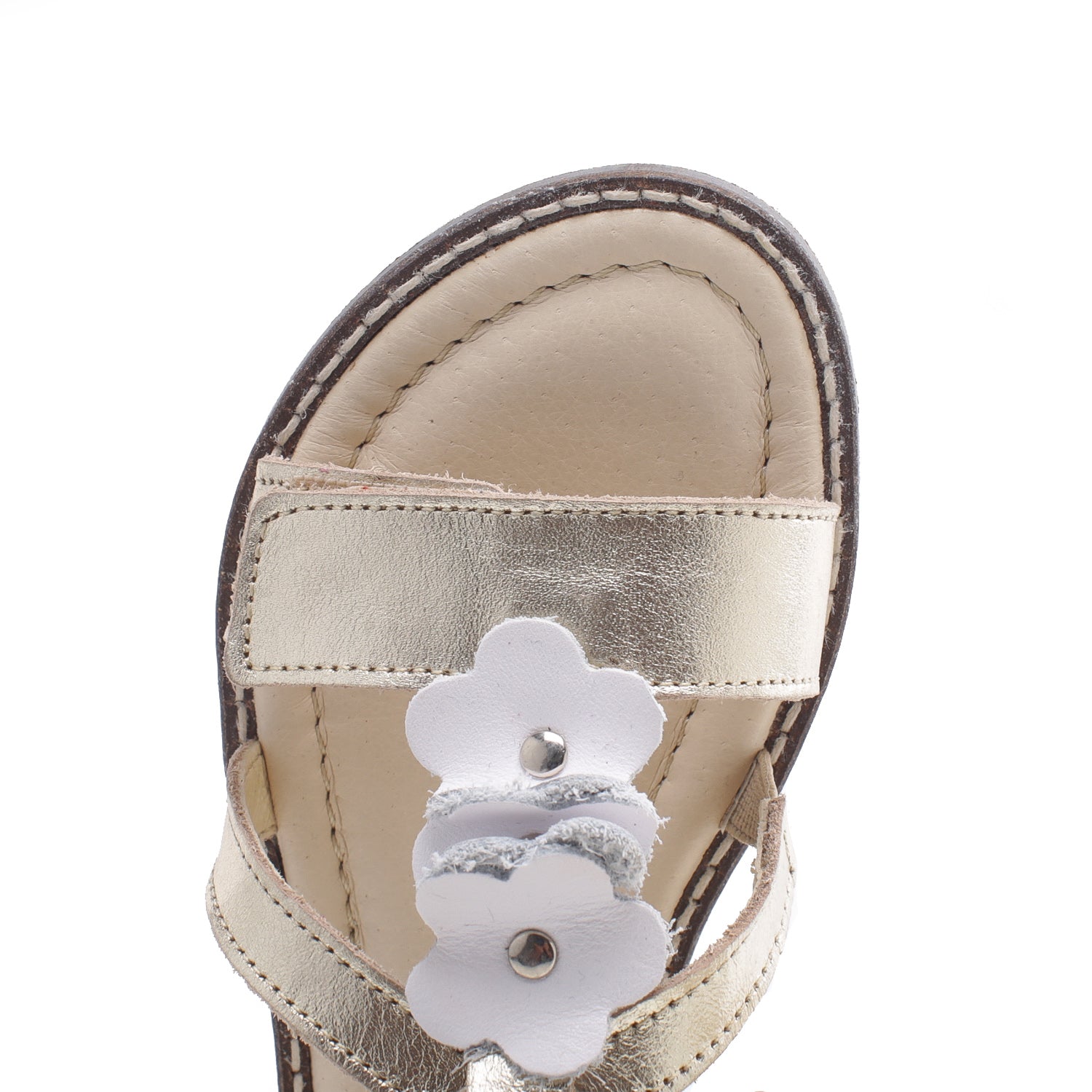 (2577) Emel velcro sandals  gold flowers - MintMouse (Unicorner Concept Store)