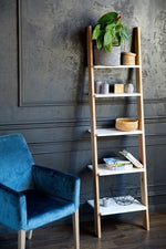 Ashme Ladder Shelf