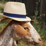 ( LW14869 )Doro Feodora Hat - Golden Caramel - MintMouse (Unicorner Concept Store)