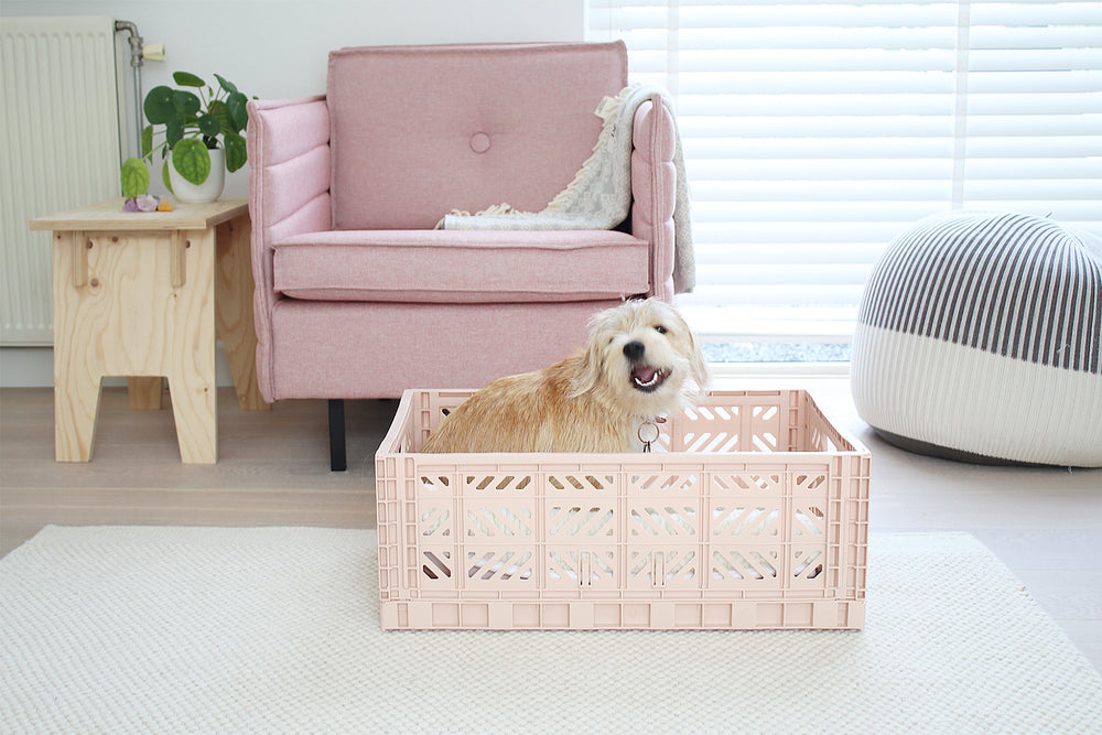 Folding crate Maxibox - Banana