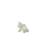 Teether - Bali the Flower - MintMouse (Unicorner Concept Store)