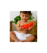Teether - Walley the Watermelon